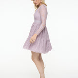 Faren Lace Mini Dress | BTZ25412