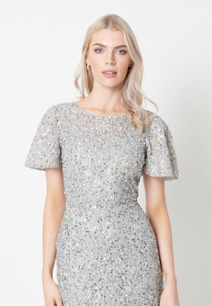 
                  
                    Aria Embroidered With Embellished Sequin Dress
                  
                